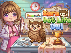 խաղ Sara Vet Life Ep14: Owl