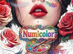 խաղ Numicolor