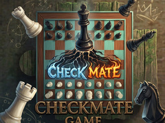 խաղ Checkmate Game