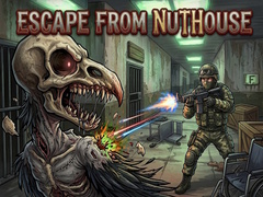 խաղ Escape from nuthouse 