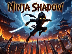խաղ Ninja Shadow