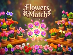 խաղ Flowers Match