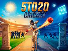 խաղ 5TO20 Cricket