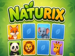 խաղ Naturix