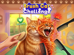 խաղ Brush Cat Challenge 