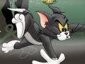 խաղ Tom And Jerry Chase In Marsh
