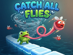 խաղ Catch All Flies