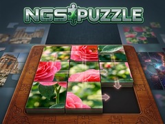 խաղ NGS Puzzle
