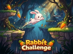 խաղ Rabbit Challenge