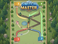 խաղ Switch Master