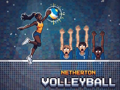 խաղ Netherton Volleyball