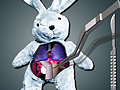 խաղ Save The Bunny