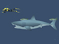 խաղ Mad Shark