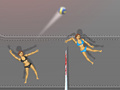 խաղ Ragdoll Volleyball