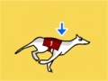 խաղ Greyhound Racer DX