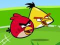 Angry birds խաղեր 